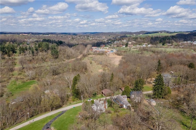 drone / aerial view