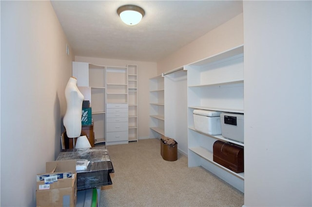 spacious closet with carpet flooring