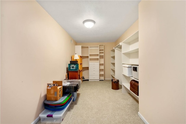 1501 Appleridge Ct, Adams Twp, PA 15044 - view of storage area