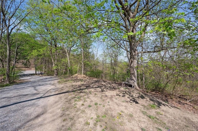view of road featuring a view of trees
