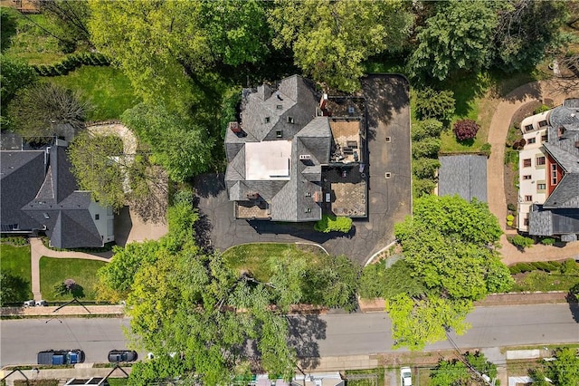 bird's eye view