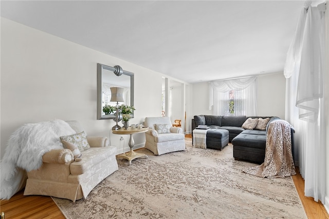 living room featuring wood finished floors