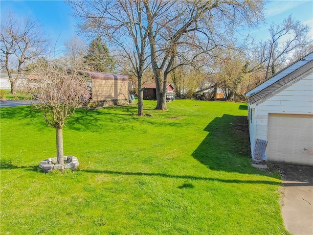 828 Butler Ave, New Castle/4Th, PA 16101 - view of yard