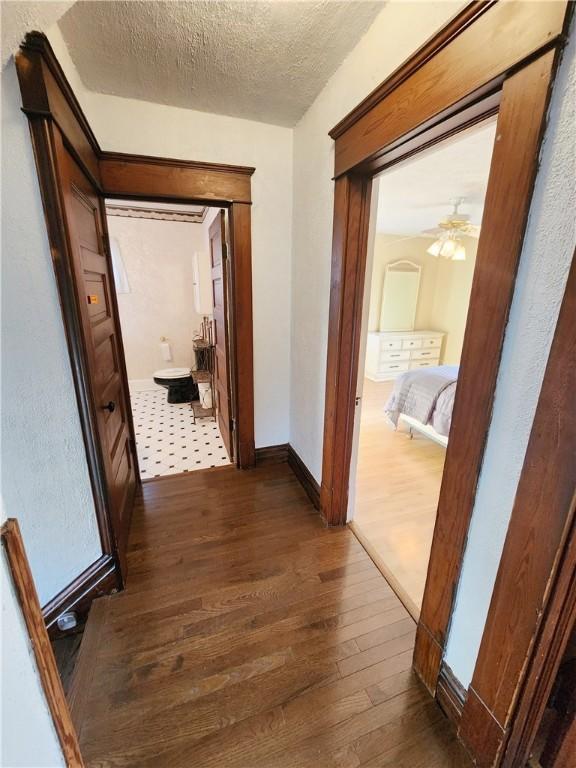 828 Butler Ave, New Castle/4Th, PA 16101 - hall featuring dark wood-type flooring, a textured ceiling, and baseboards