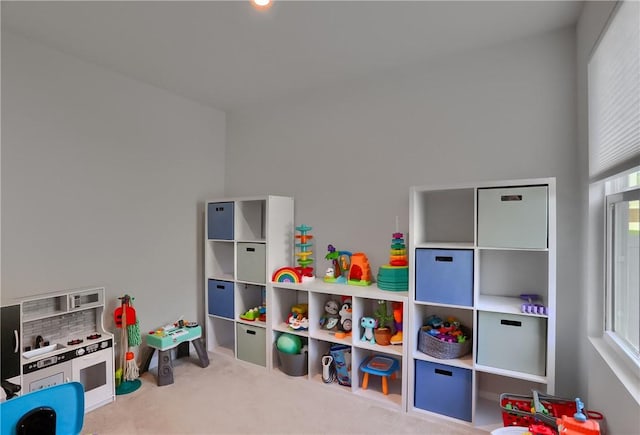 418 Fosse Ct, Lancaster Twp, PA 16037 - rec room featuring plenty of natural light and carpet