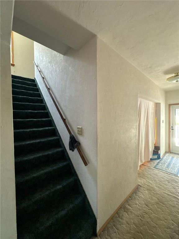 stairway featuring carpet