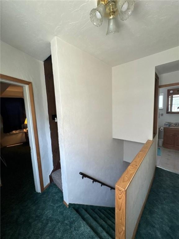 stairs featuring carpet flooring