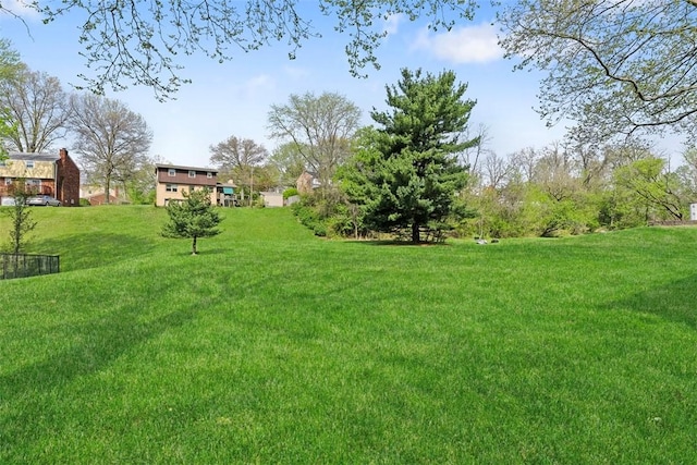 view of yard