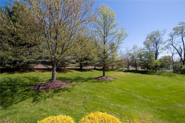 1437 Yorktown Dr, Cecil, PA 15055 - view of yard