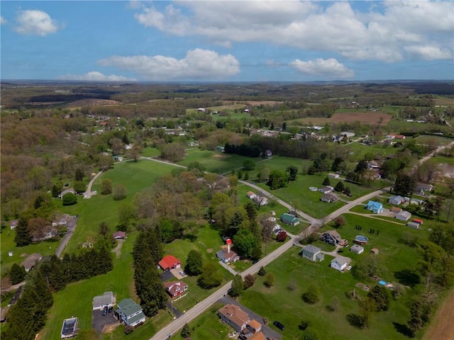 bird's eye view