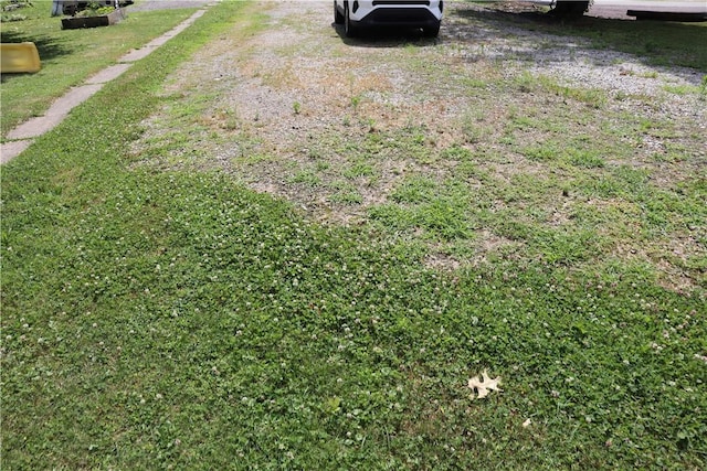363 S 6th St, Indiana Boro Ind, PA 15701 - view of yard