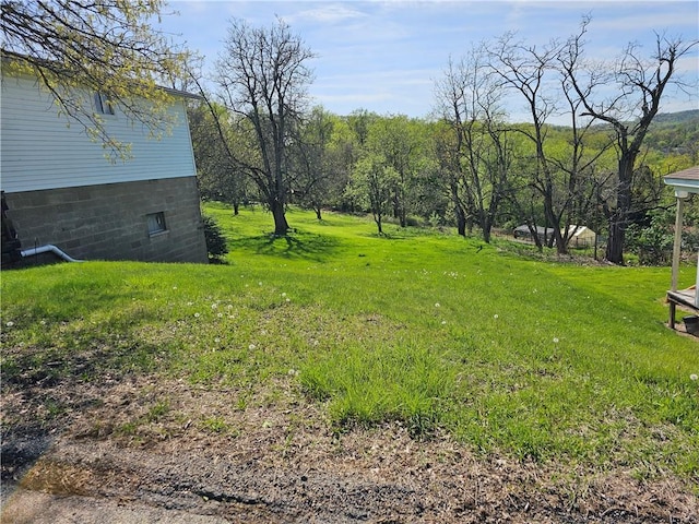 137 Washington St, Cokeburg, PA 15324 - photo 15