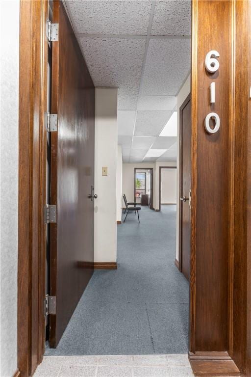 hall featuring baseboards, a drop ceiling, and carpet floors
