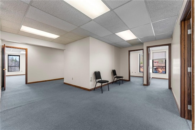 living area featuring baseboards, carpet flooring, and a paneled ceiling