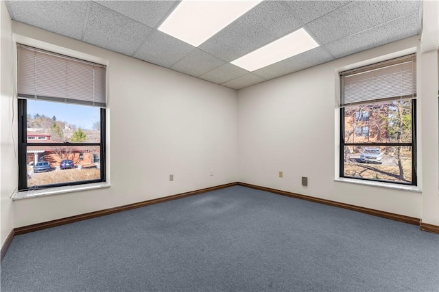 spare room featuring baseboards, a drop ceiling, and carpet