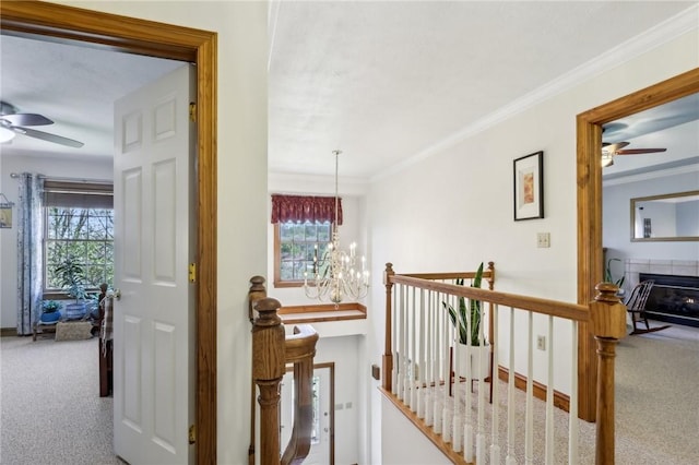 1003 Hunt Club Ct, Murrysville, PA 15632 - photo 28