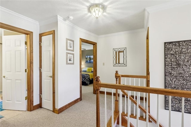 1003 Hunt Club Ct, Murrysville, PA 15632 - photo 29