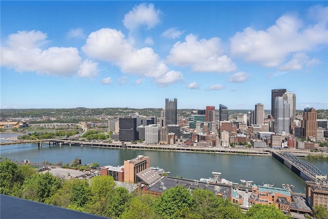 111 Grandview Ave Unit 801, Mt Washington, PA 15211 - exterior space with a view of city and a water view