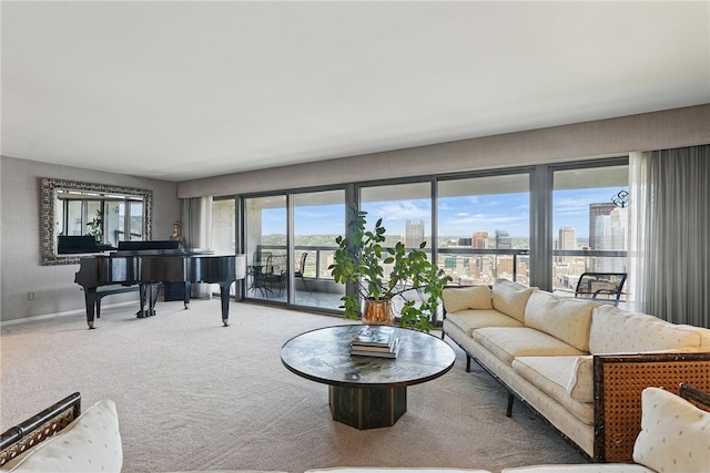 111 Grandview Ave Unit 801, Mt Washington, PA 15211 - living area featuring baseboards and carpet flooring