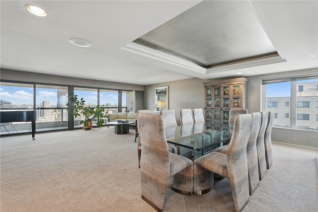 111 Grandview Ave Unit 801, Mt Washington, PA 15211 - dining room with carpet floors, a tray ceiling, and a wealth of natural light