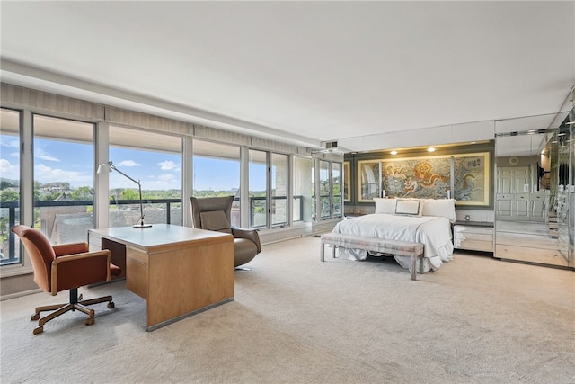 111 Grandview Ave Unit 801, Mt Washington, PA 15211 - view of carpeted bedroom