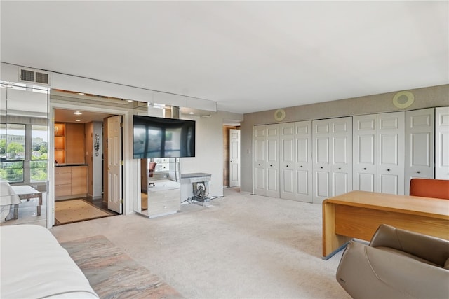 111 Grandview Ave Unit 801, Mt Washington, PA 15211 - bedroom with visible vents and carpet