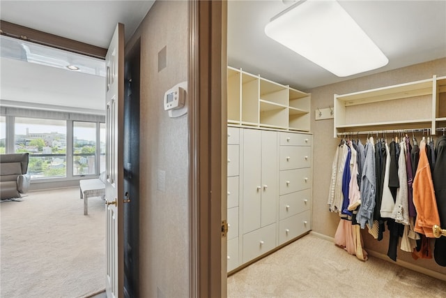 111 Grandview Ave Unit 801, Mt Washington, PA 15211 - walk in closet featuring carpet flooring and visible vents