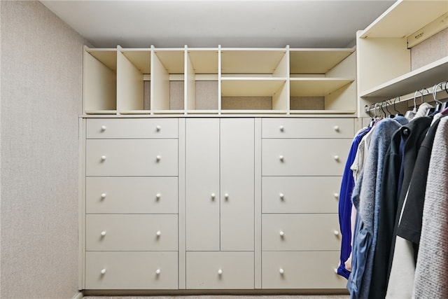 111 Grandview Ave Unit 801, Mt Washington, PA 15211 - view of spacious closet