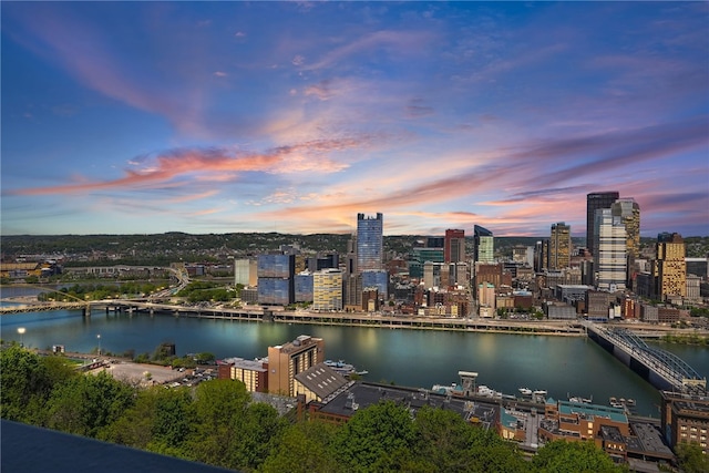 111 Grandview Ave Unit 801, Mt Washington, PA 15211 - water view featuring a view of city
