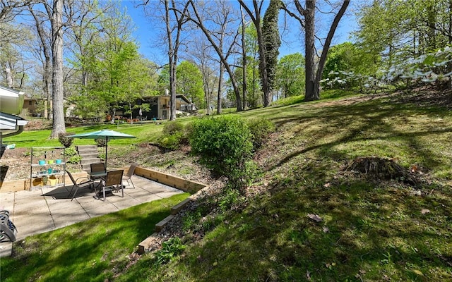 view of yard with a patio area