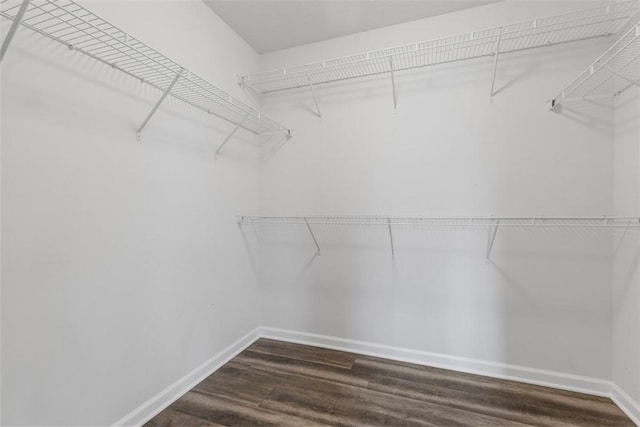 spacious closet featuring wood finished floors