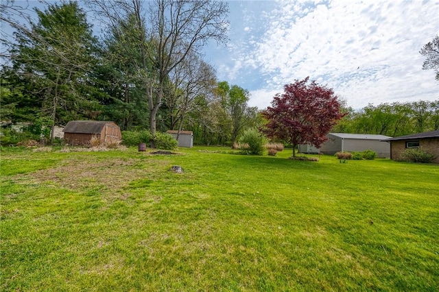 view of yard with an outbuilding and a storage unit
