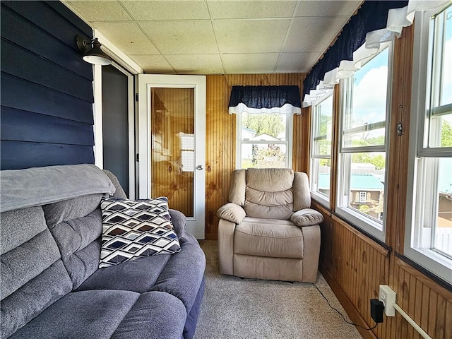 sunroom featuring wood walls and carpet
