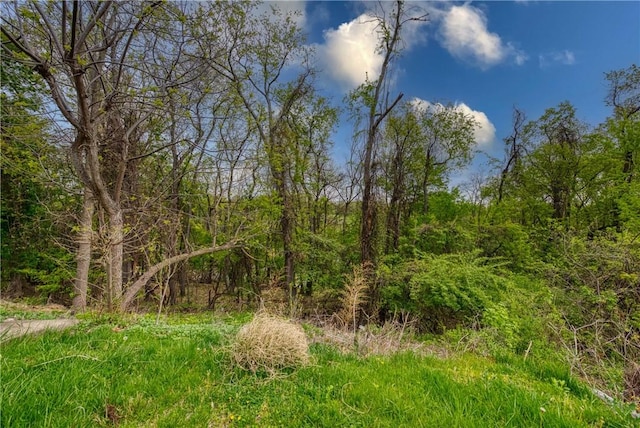 4917 Leona Dr, Baldwin Boro, PA 15227 - view of landscape