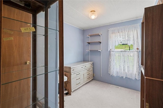 spacious closet featuring carpet floors and visible vents
