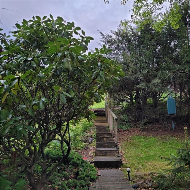 view of yard with stairway