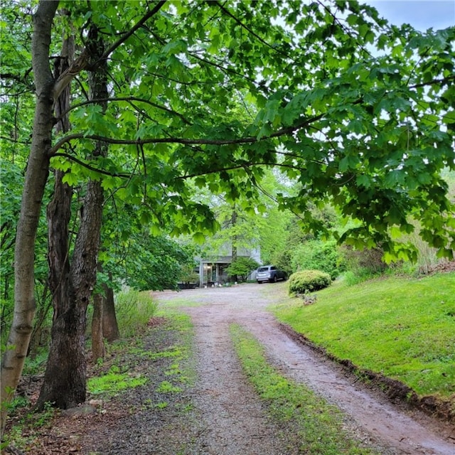 view of road featuring driveway