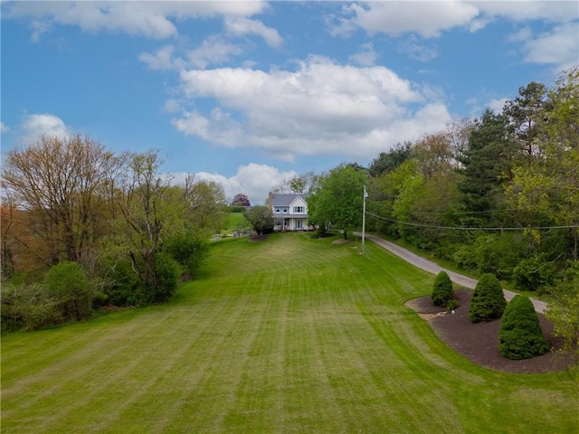 6181 Brown Rd, Penn Twp, PA 16002 - view of grassy yard