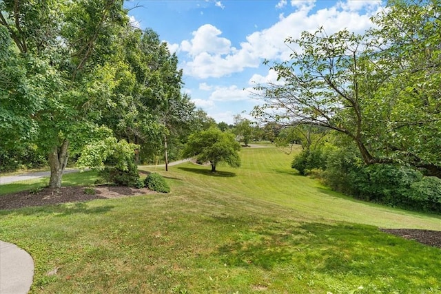 6181 Brown Rd, Penn Twp, PA 16002 - view of grassy yard featuring view of scattered trees