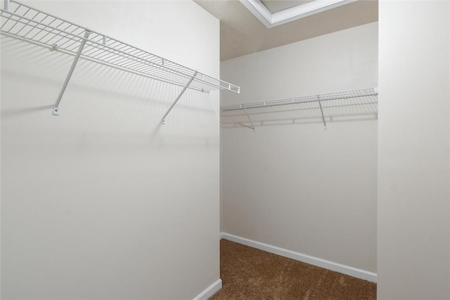 spacious closet featuring carpet