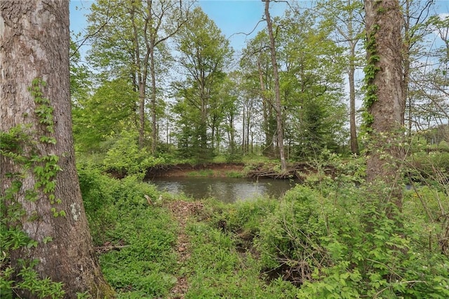 512 Brigade Ln, Ligonier Twp, PA 15658 - photo 38