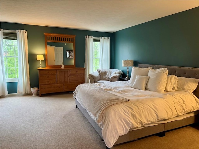 2001 Trillium Ct, North Strabane, PA 15317 - bedroom featuring carpet floors