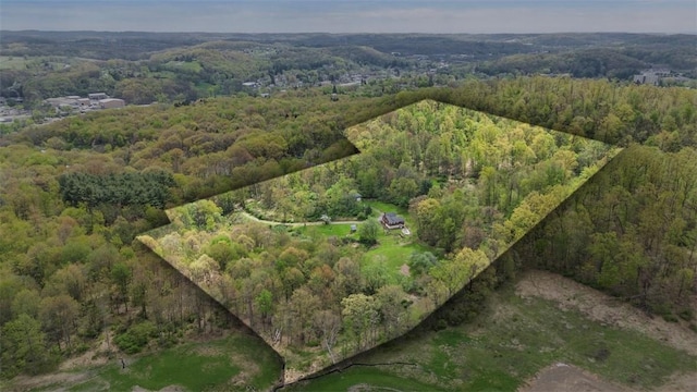 bird's eye view with a forest view