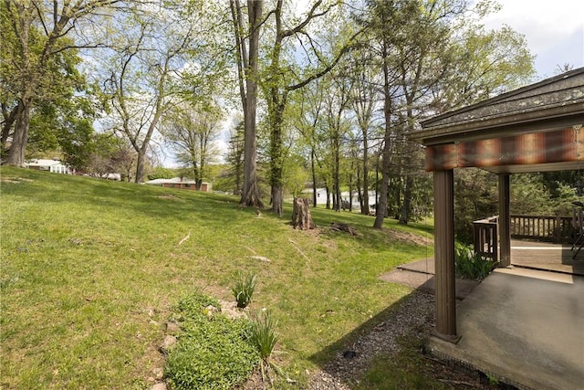 view of yard