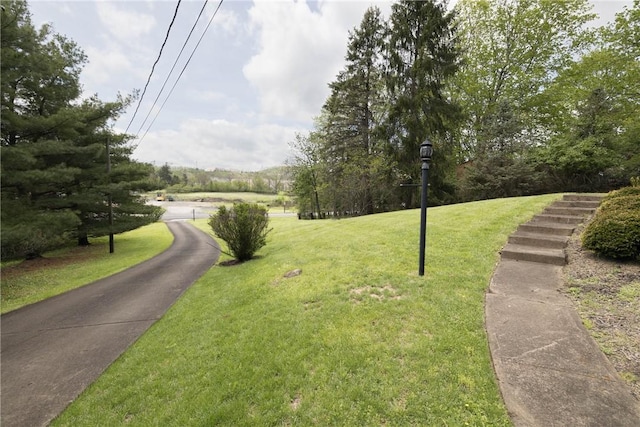view of property's community with a lawn