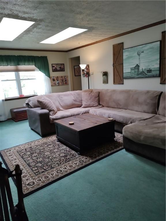 100 Forest Dr, Natrona Hts/Harrison Twp, PA 15065 - living area featuring a skylight, ornamental molding, and carpet