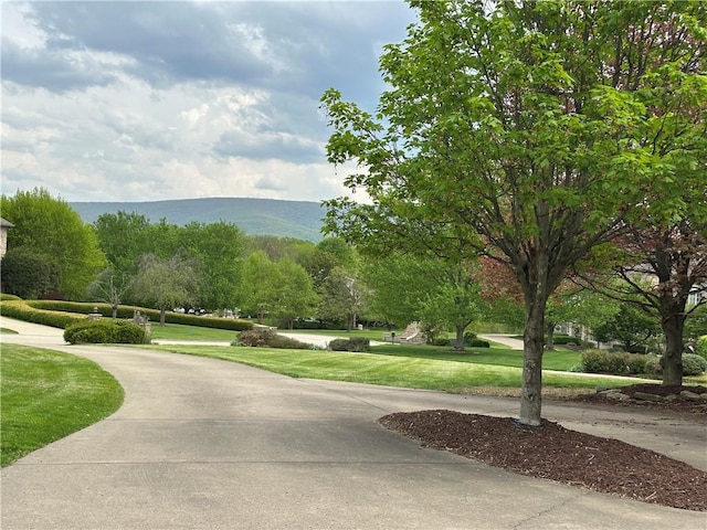337 Saratoga Dr, South Union Twp, PA 15401 - view of property's community featuring a lawn and a mountain view