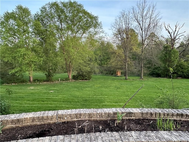 337 Saratoga Dr, South Union Twp, PA 15401 - view of green lawn