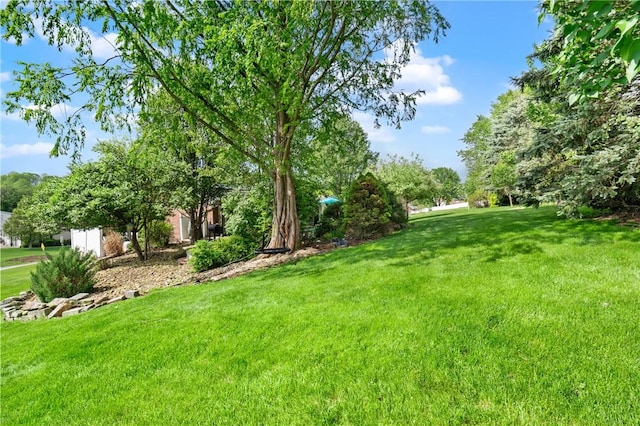 view of yard