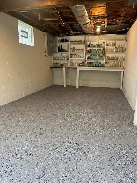 basement with electric panel